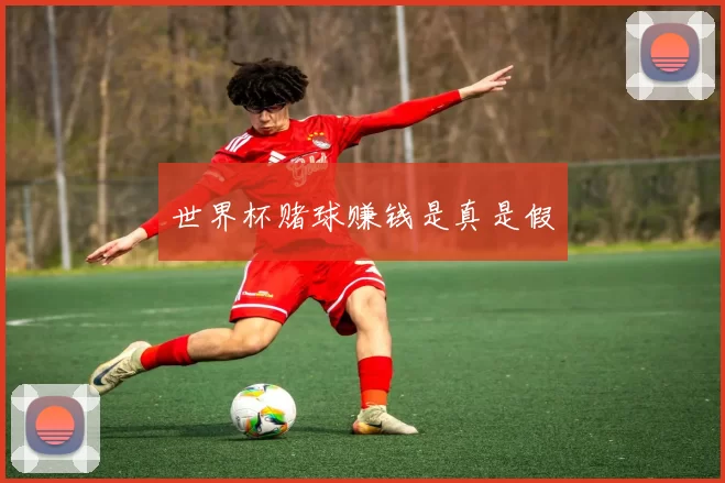 世界杯赌球赚钱是真是假