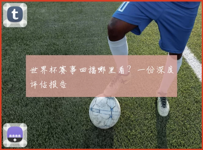 世界杯赛事回播哪里看？一份深度评估报告