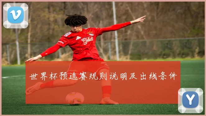 世界杯预选赛规则说明及出线条件