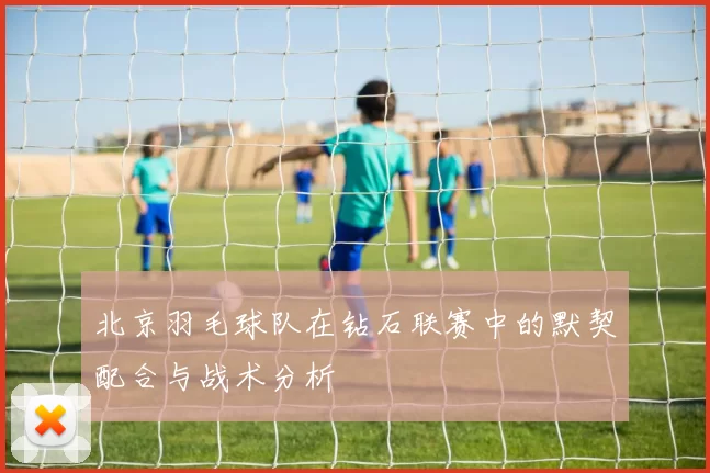 北京羽毛球队在钻石联赛中的默契配合与战术分析