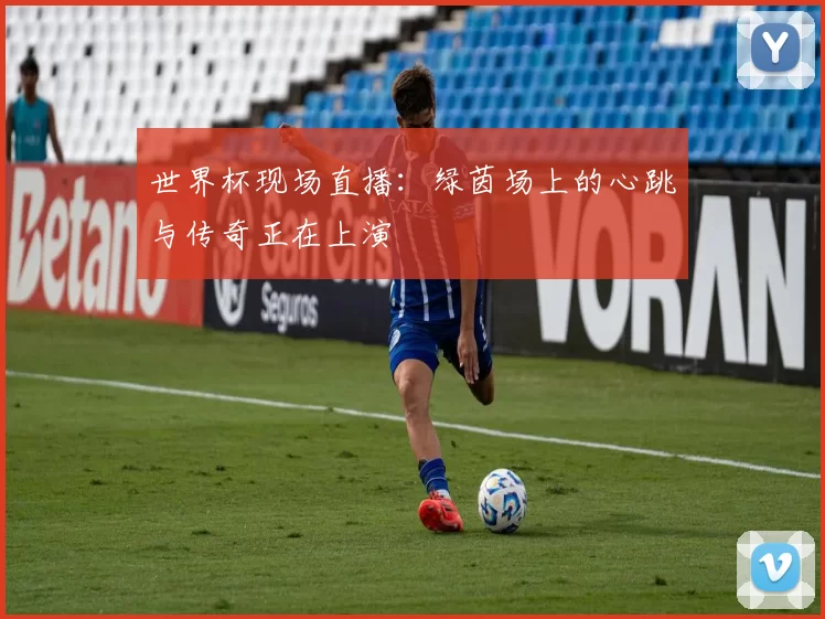 世界杯现场直播：绿茵场上的心跳与传奇正在上演