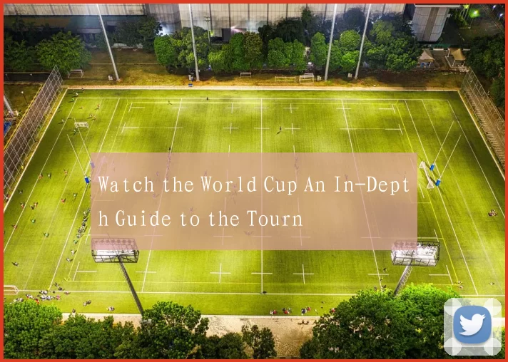 Watch the World Cup An In-Depth Guide to the Tourn