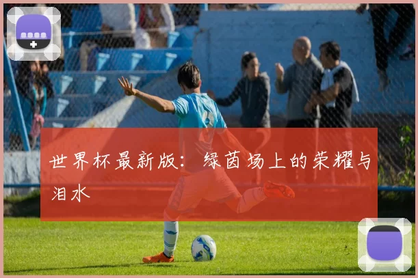世界杯最新版：绿茵场上的荣耀与泪水