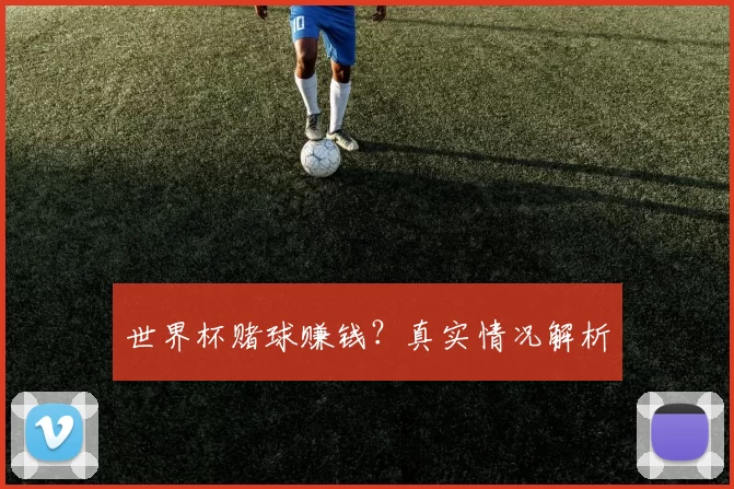 世界杯赌球赚钱？真实情况解析